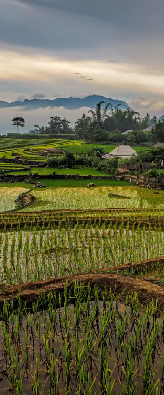 Vietnam Sehenswürdigkeiten und Tipps von Experten und Expertinnen
